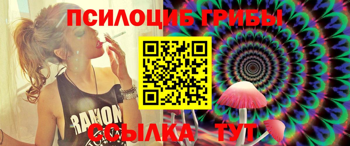 Рославль  Псилоцибиновые грибы Psilocybine cubensis  Вход с VPN  Галлюциногенные грибы Psilocybe 